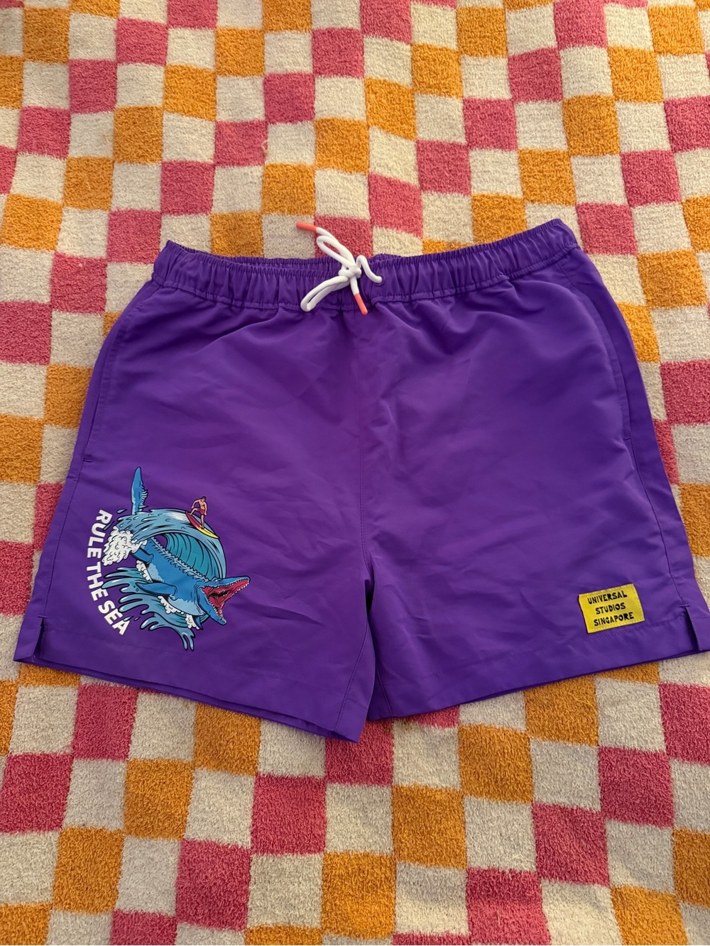 Universal Studios Singapore Jurassic Park Swim Trunks